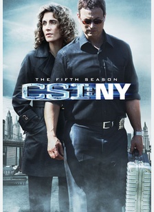 CSI: New York - The Fifth Season