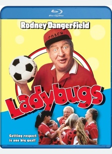 Ladybugs