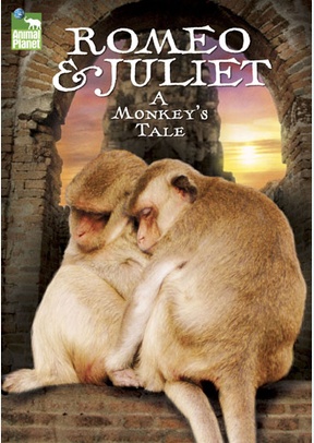 Romeo & Juliet: A Monkey's Tale