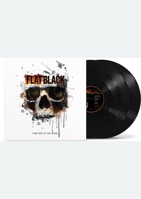 DARK SIDE OF THE BRAIN (2LP)