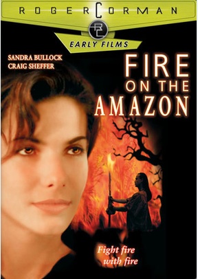 Fire On The Amazon