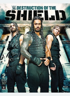 WWE: Destruction of the Shield