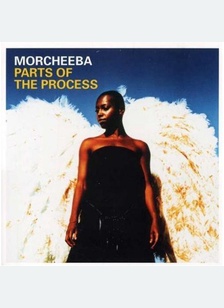 PARTS OF THE PROCESS (W/DVD)