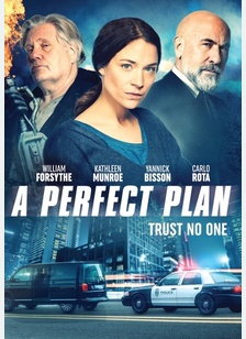 A Perfect Plan