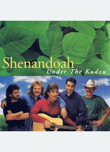 UNDER THE KUDZU