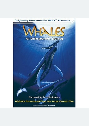WHALES:AN UNFORGETTABLE