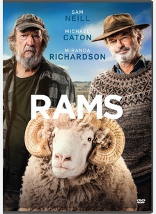 Rams