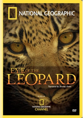 National Geographic: Eye of the Leopard