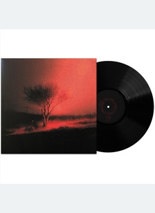 PISS IN THE WIND (LP)