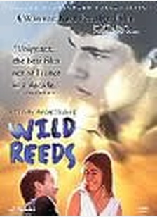 WILD REEDS