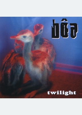TWILIGHT