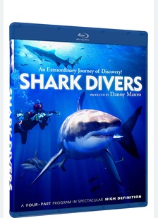 Shark Divers: Documentary Collection
