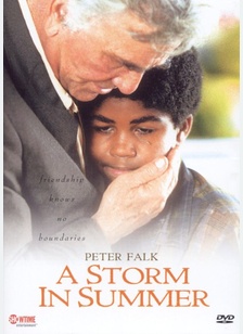 Storm In Summer