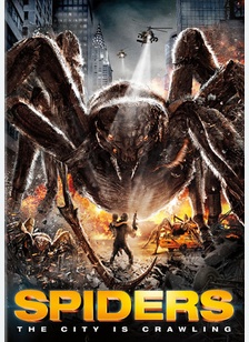 Spiders