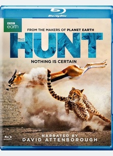 The Hunt