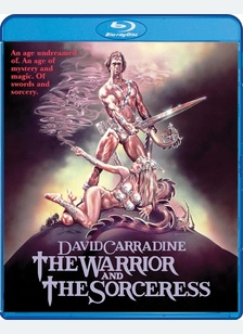 WARRIOR AND THE SORCERESS (BR)