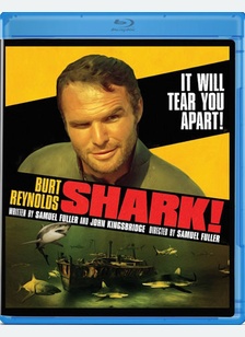 Shark!