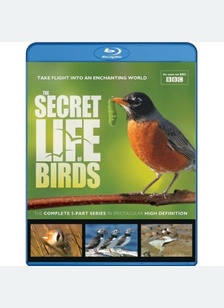 The Secret Life of Birds