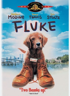 Fluke