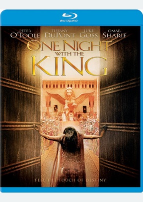 One Night with the King