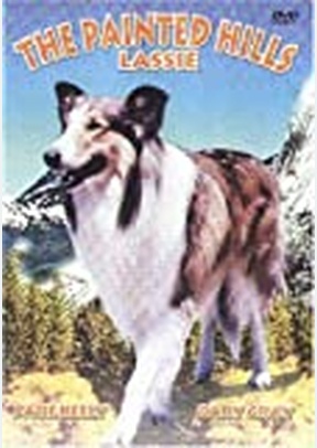 PAINTED HILLS LASSIE