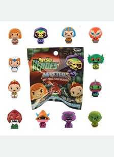 PINT SIZE HEROES:MOTU