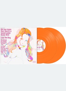 DID YOU KNOW (LIMITED ED) (2LP