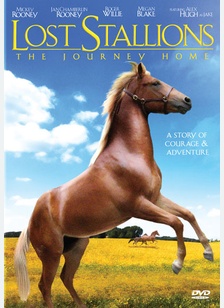Lost Stallions: The Journey Home