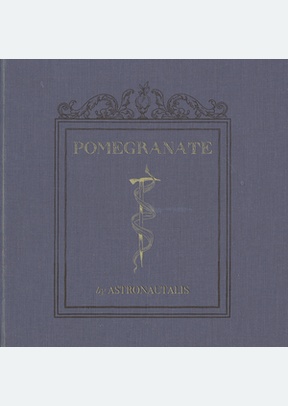 POMEGRANATE