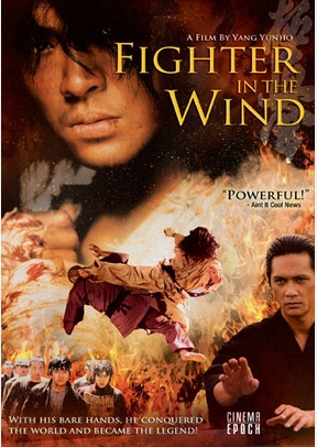 Fighter In The Wind