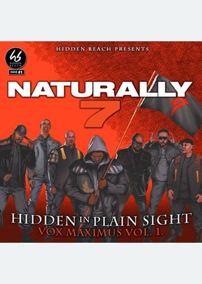 Hidden In Plain Sight