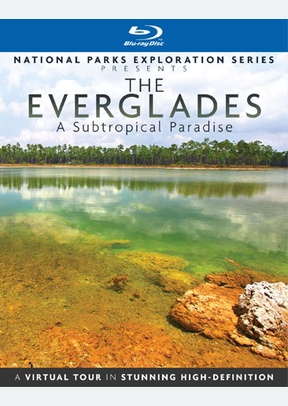 National Parks Exploration Series: The Everglades, A Subtropical Paradise