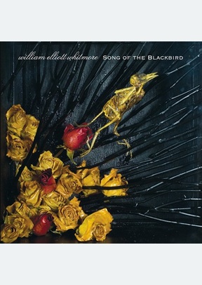SONG OF THE BLACKBIRD