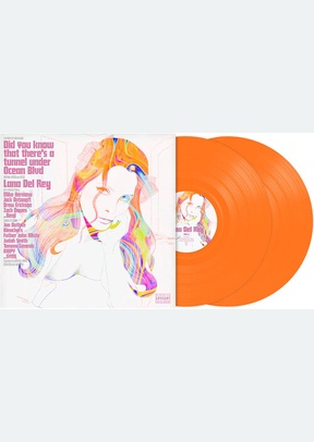 DID YOU KNOW (LIMITED ED) (2LP