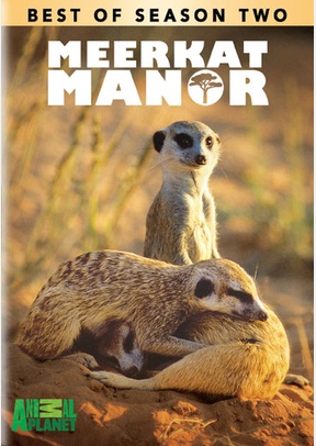 Meerkat Manor: Best of Season Two