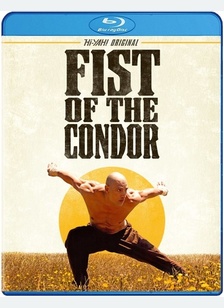 Fist Of The Condor