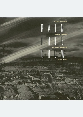RAIN TREE CROW