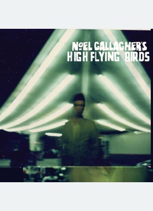 HIGH FLYING BIRDS