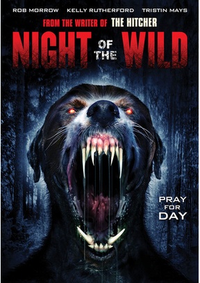 Night of the Wild