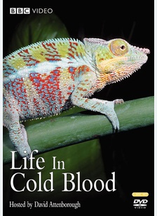 Life In Cold Blood
