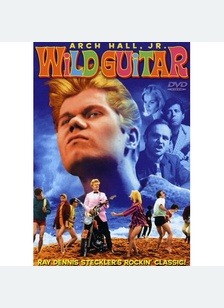 WILD GUITAR