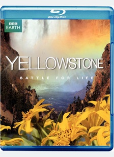 Yellowstone: Battle for Life