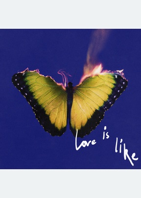 LOVE IS LIKE