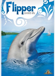 Flipper The Original Series: Season 1