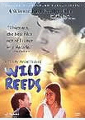 WILD REEDS