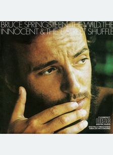 WILD INNOCENT & THE E STREET S