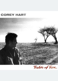 FIELDS OF FIRE