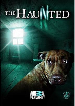 The Haunted (Animal Planet)