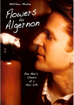 Flowers for Algeron