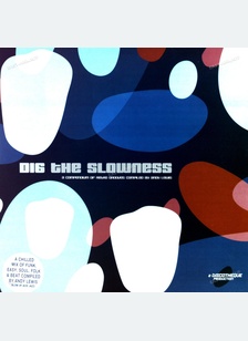 DIG THE SLOWNESS